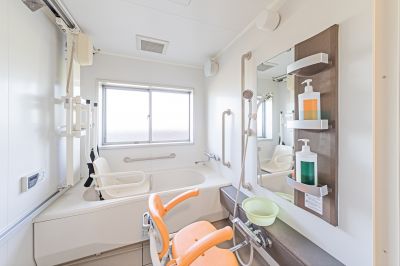 Walk-In Tub Installers detail